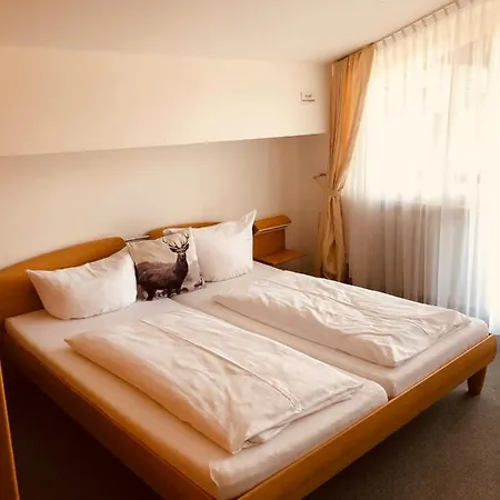 Hotel Arber Wellness 3*