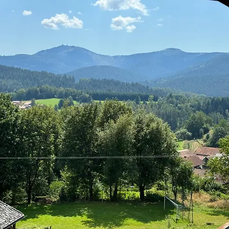 Hotel Arber Wellness Lohberg