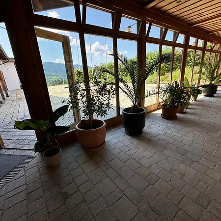 Hotel Arber Wellness 3*